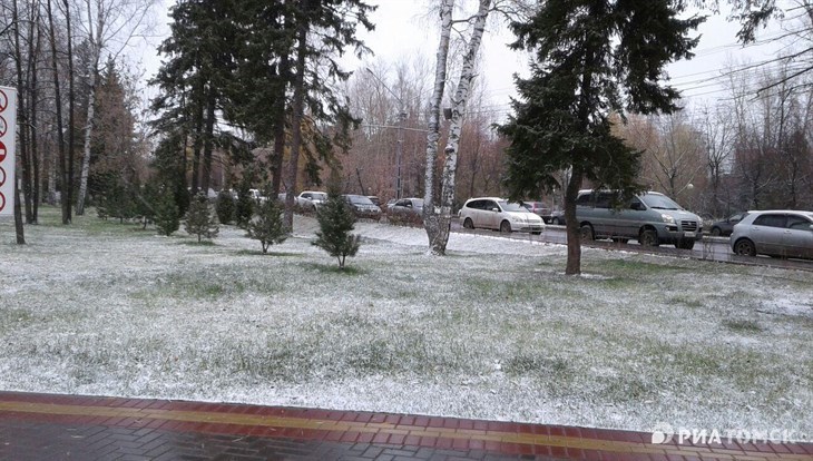 Синоптики обещают небольшой снег и сильный ветер в среду в Томске