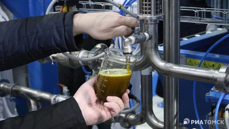 Экспорт рапсового масла из Томской области увеличился в 3 раза в 2022г