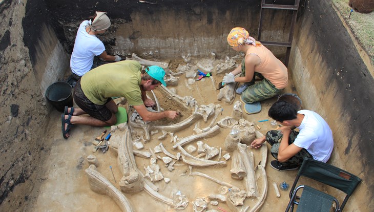 Палеонтологи ТГУ нашли культовый предмет возрастом более 19 тысяч лет