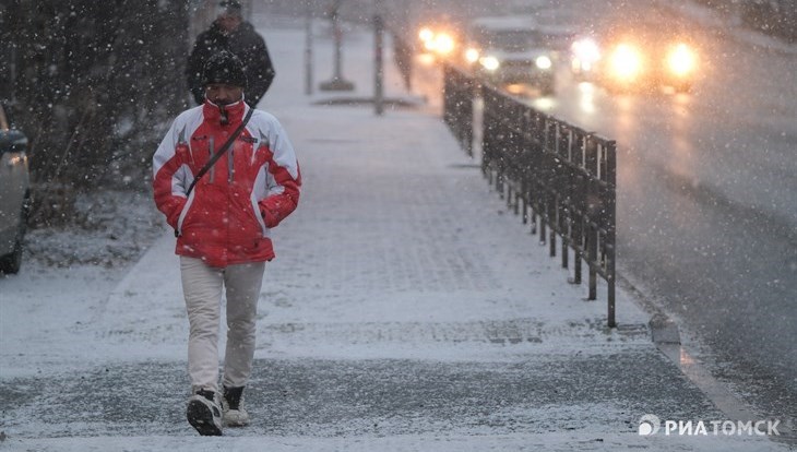 Небольшой снег ожидается в понедельник в Томске