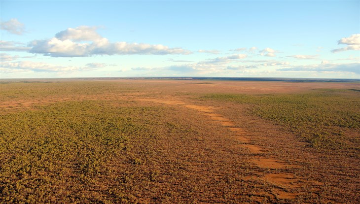 Томские ученые узнали точную площадь болот в заповеднике 