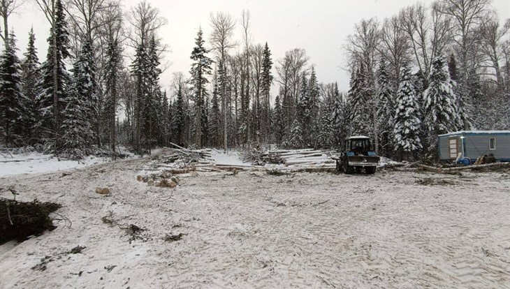 Третий за месяц человек погиб на лесозаготовке в Томской области
