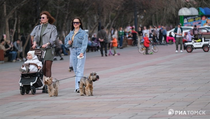 Четверг в Томске ожидается относительно теплым