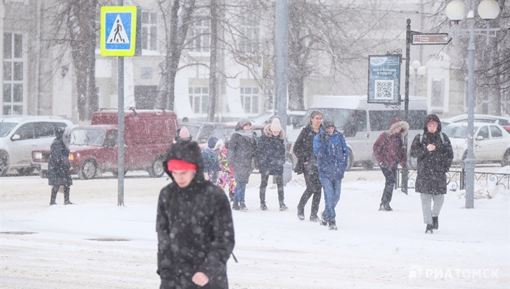 Около 20 градусов мороза и небольшой снег ожидаются в Томске в субботу