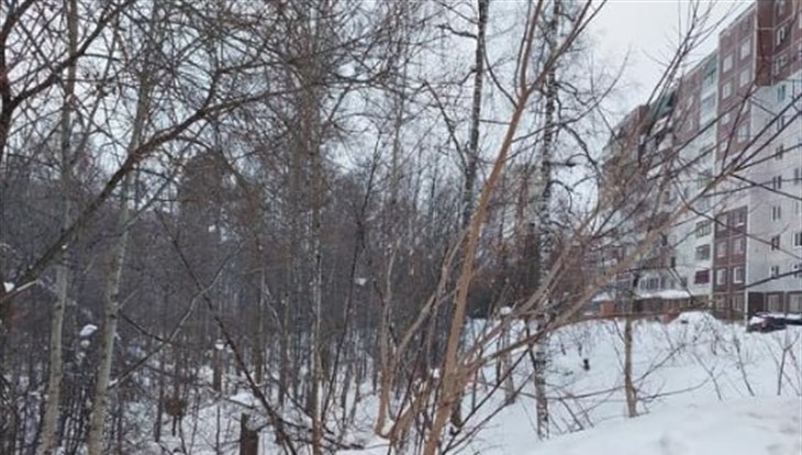 Новосибирцы застроят еще один участок Иркутского тракта в Томске