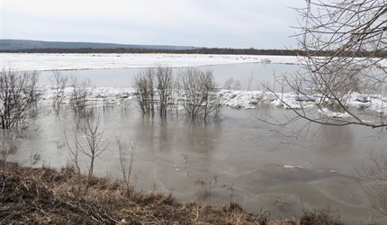 Наводнение из-за подъема воды в Оби затронуло 3 района Томской области