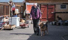 Лучше в подъезде, чем без друга: томский приют помог Игорю и его псу
