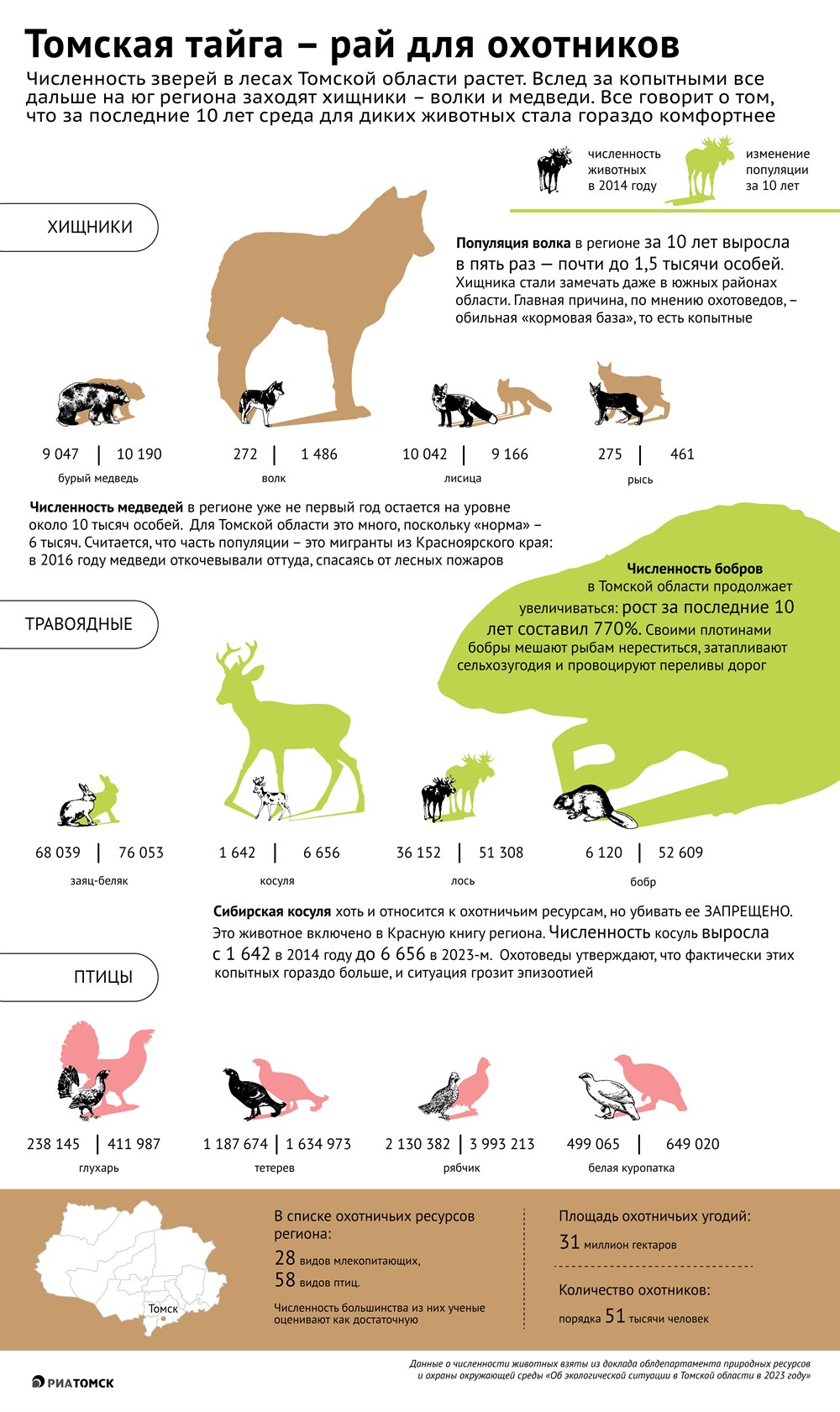 В тени бобра: как выросла численность диких зверей в томских лесах