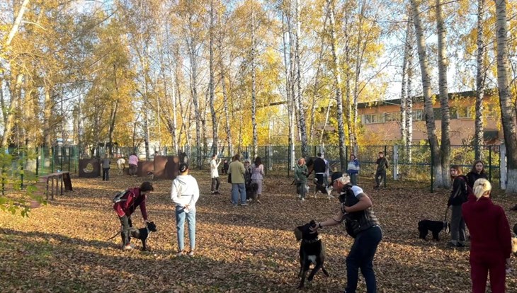 Сухая погода и до 6 градусов тепла ожидают томичей в среду