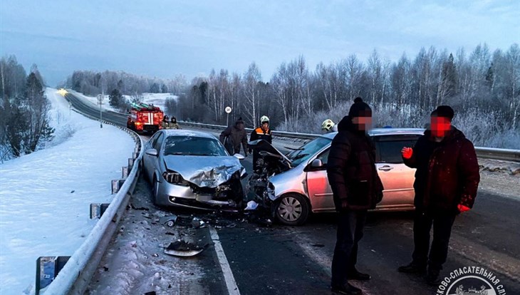 Спасатели извлеки двух пострадавших из авто после ДТП под Томском