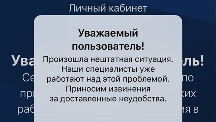 Томичи жалуются на сбои в работе кабинета налогоплательщика