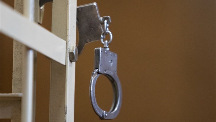 Власти: около 70% осужденных томичей вновь совершают преступления