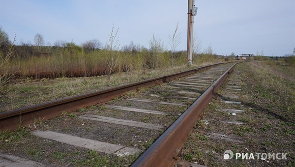 Охотоведы не нашли медвежьих следов у железной дороги в Томске