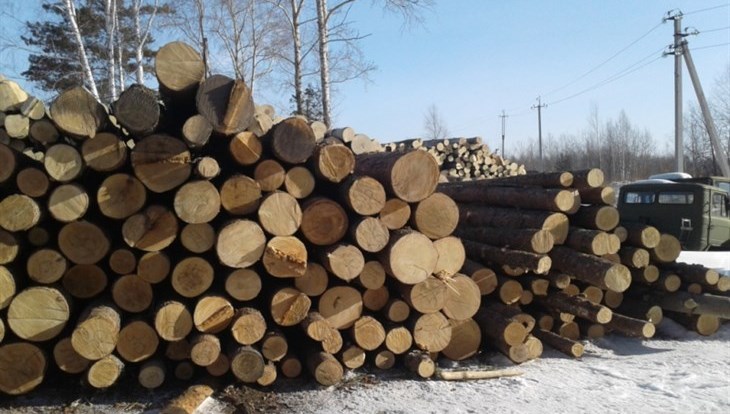 Почти 300 тысяч кубометров леса вывезено из Томской области в 2022г