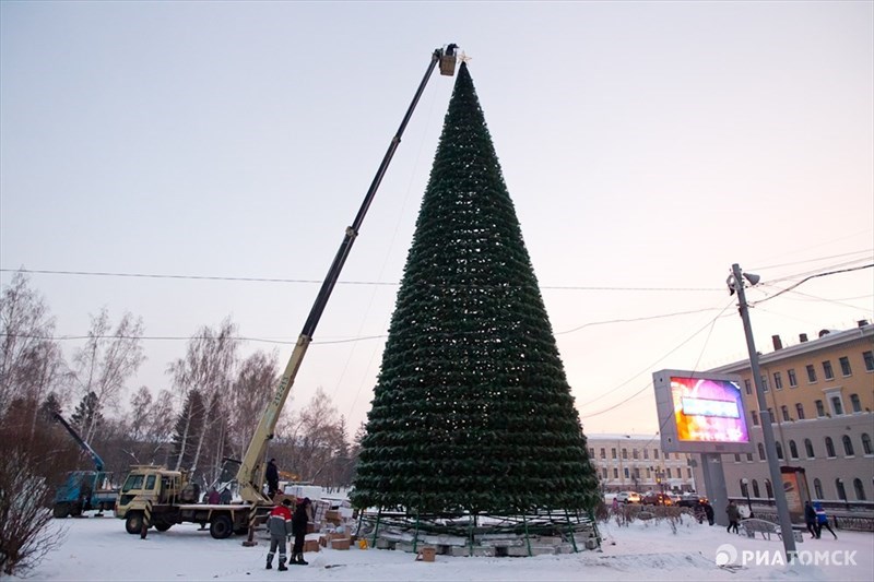 Елки томск