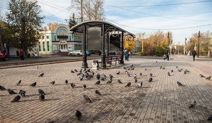 Мокрый снег и не выше +7° днем ожидают томичей в середине октября