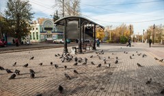 Мокрый снег и не выше +7° днем ожидают томичей в середине октября