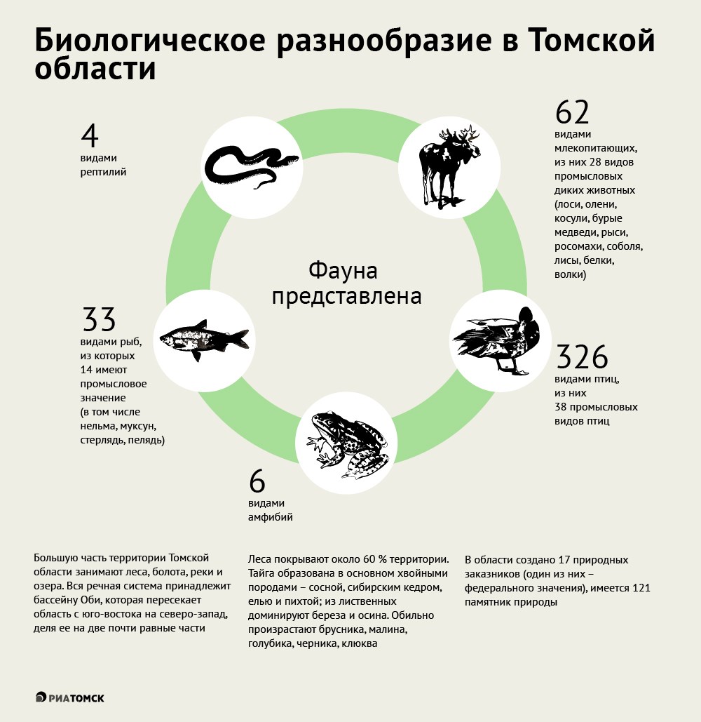 Карта распространения гадюк в подмосковье