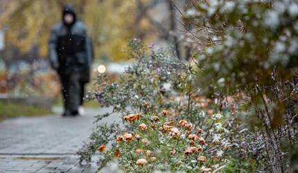 Холодный фронт принес в регион заморозки, в Томске ночью до минус 3°C