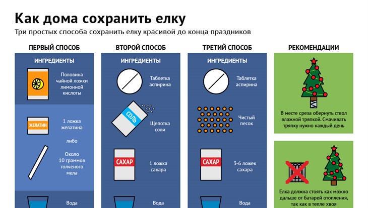 Чтобы елка стояла дольше добавить в воду. Как сохранить елку. Как сохранить новогоднюю елку. Как сохранить елку долго. Как дольше сохранить ель в домашних условиях.