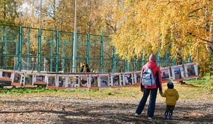 Периоды потепления до +17 ожидаются в Томской области до конца октября