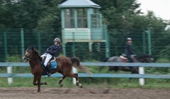 Фото с соревнований по конкуру