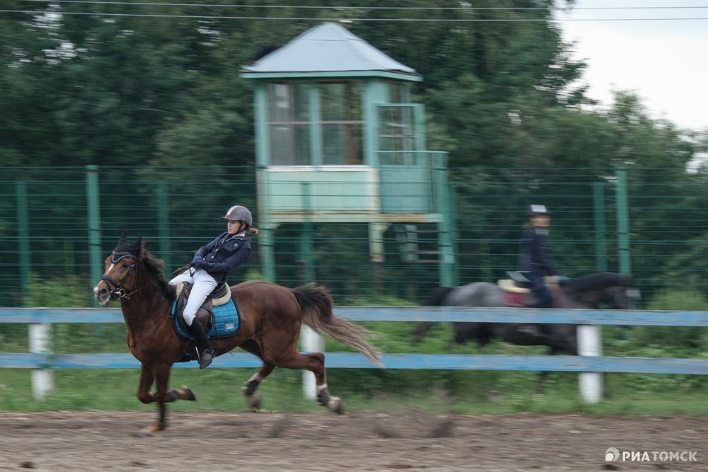 Кавалетти конный спорт