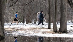 Начало марта в Томской области будет необычно теплым – до плюс 5°C