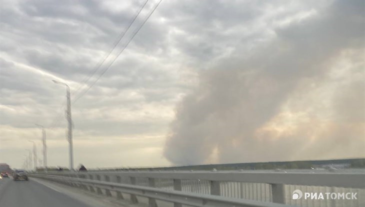 Дым от лесного пожара накрыл несколько районов Томска