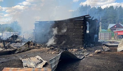 Пожар в томском селе Яр, перекинувшийся на лес, потушен через 4 часа