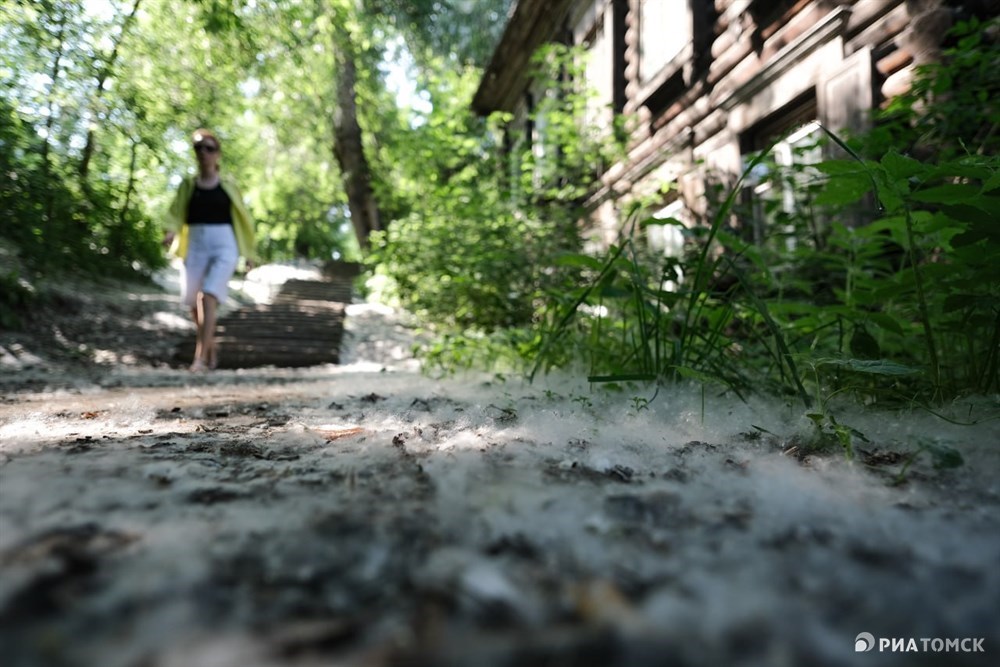 Палитра тканей. Томск | Оставляем заказы в комментариях под фото. | ВКонтакте