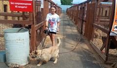 Томскому приюту для собак Дог Хаус нужна помощь с оплатой аренды
