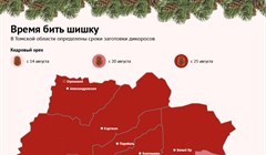 Когда в Томской области можно заготавливать ягоду и бить шишку в 2024г