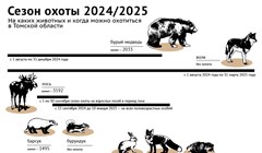 Не проспать зверя: сроки осенне-зимней охоты 2024/2025 в Томской обл