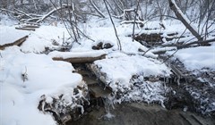 Томич планирует восстановить родниковый водопровод в роще ТГУ в 2025г