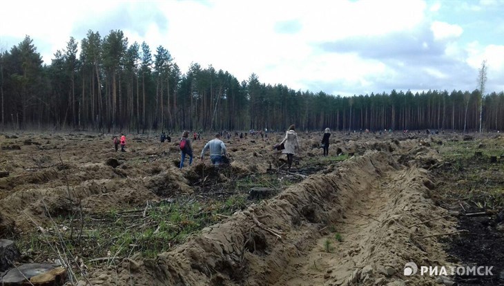 Депутаты посадили деревья в рамках акции «Наш лес»