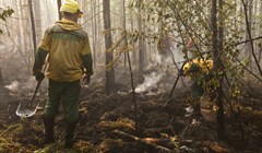 Власти объявили об окончании пожароопасного сезона в томских лесах